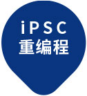 iPSC重编程