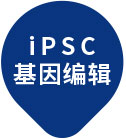 iPSC重编程