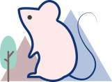 野生型小鼠